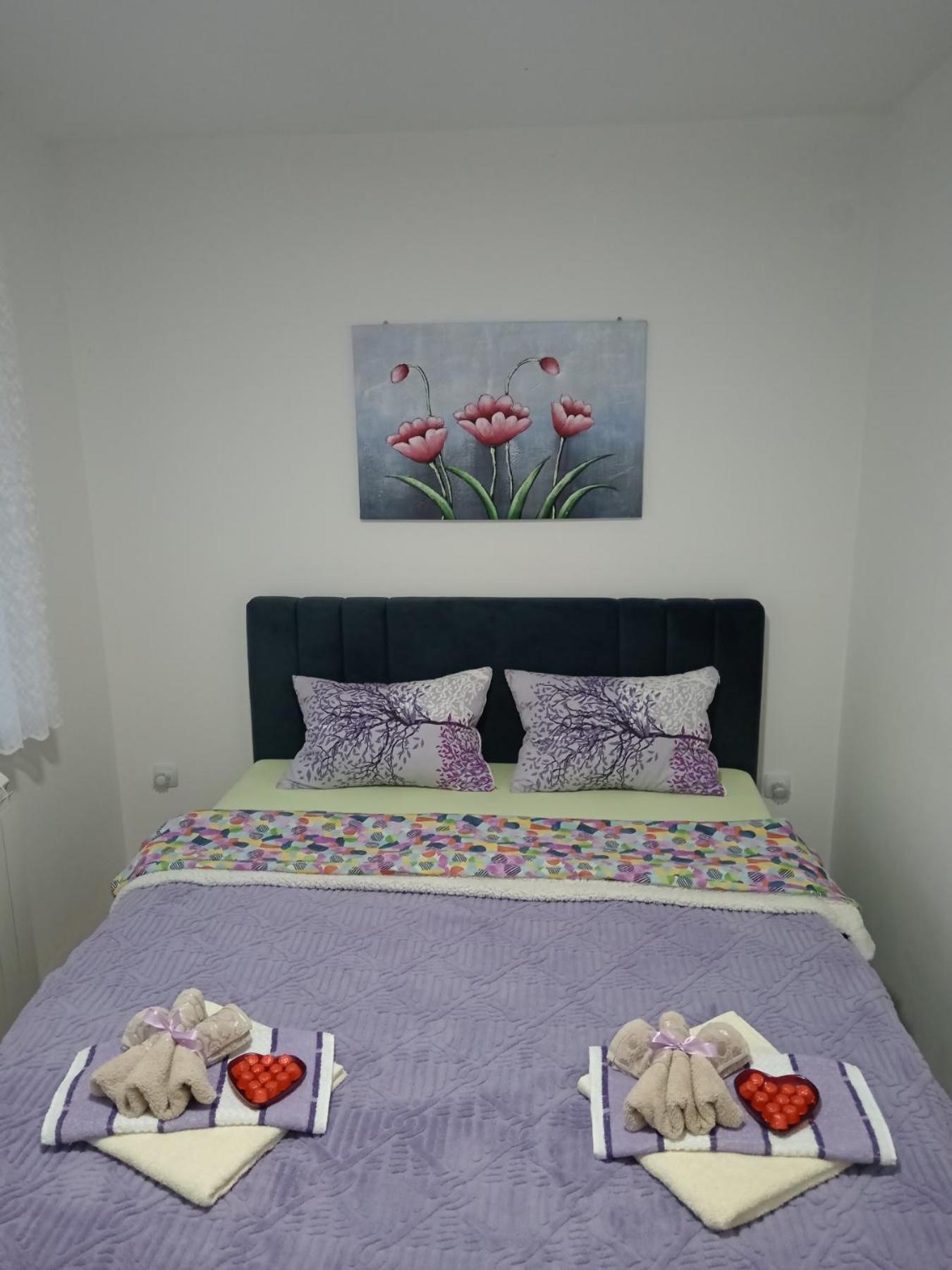 Apartman Lara Pirot Room photo