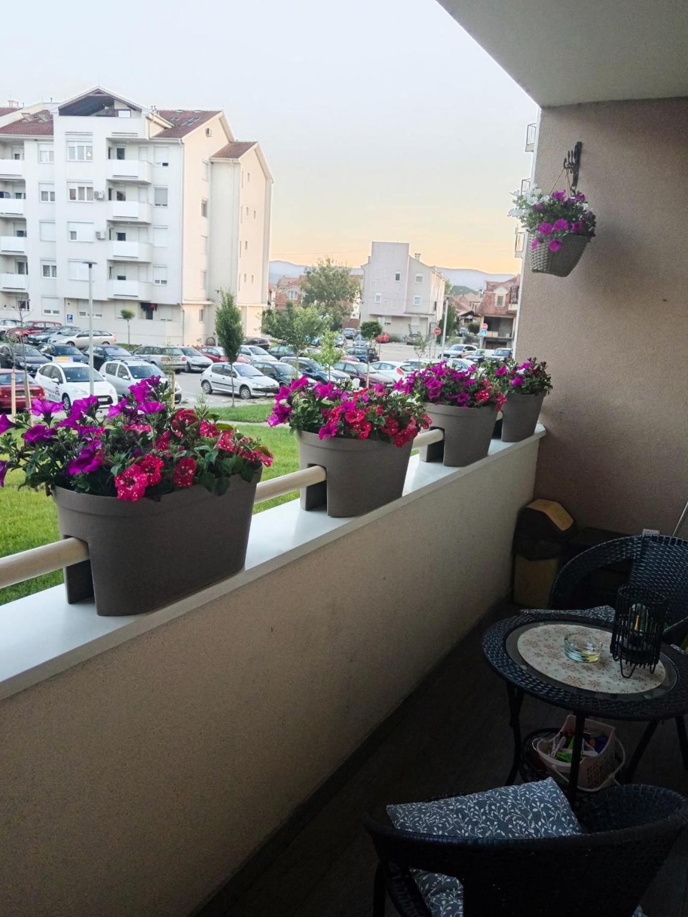 Apartman Lara Pirot Exterior photo